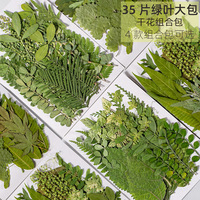 Décoration d'ongles DIY faite à la main avec des feuilles naturelles séchées et pressées pour les fournitures d'artisanat