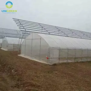 Đa span nhà kính phim nhựa cho hydroponics hệ thống nông nghiệp mạ kẽm Khung polycarbonate nhà kính
