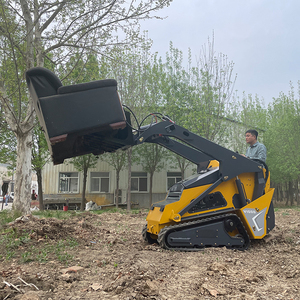 Бесплатная доставка: Мини-погрузчик на гусеничном ходу с дизельным двигателем (CE, EPA) для ландшафтных работ, строительства и сельского хозяйства - Product Image 5