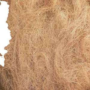 Exportateur de fibres de coco brutes fournissant des fibres de coco à haute résistance pour divers usages industriels, domestiques et commerciaux - Product Image 1