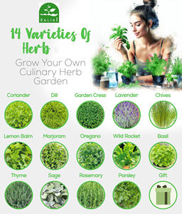 14 espèces de plantes biologiques-sans OGM-Set d'herbes culinaires - Product Image 2