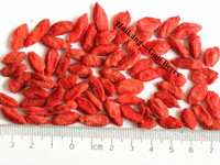 Chinese Eurofins Gecertificeerd Goji Fruit