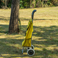 2024 Hitree nouveaux produits personnalisables 600D Oxford supermarché pliant chariot, chariot d'épicerie portable sur roues