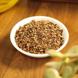 <span class=keywords><strong>Yi</strong></span> <span class=keywords><strong>ZHI</strong></span> <span class=keywords><strong>ren</strong></span> khô nguyên liệu tự nhiên mới alpinia oxyphylla sharpleaf riềng trái cây cho gia vị - Product Image 1