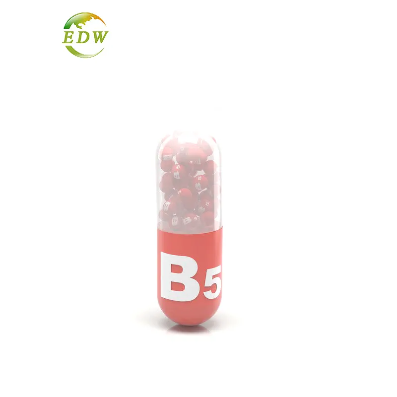 Werkseitige Versorgung mit Vitamin-Aminosäuren und Coenzymen Vitamin B1 B2 B3 B5 B6 B12 Pulver