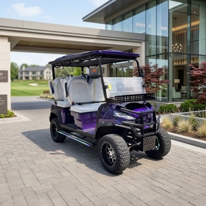 Carrello da Golf di Lusso 72V, Vendita Diretta dalla Fabbrica, Ruote da 12/14 Pollici, 4 Posti, Buggy Elettrico da Golf Aggiornato - Product Image 2