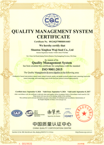 Polpette di Manzo Surgelate Chaoshan con 93% di Carne Bovina, Vendita Calda - Product Image 6