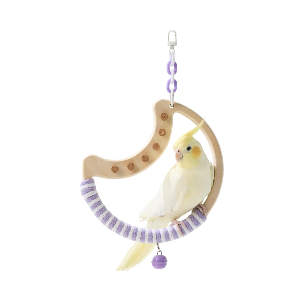 How to Choose the Best Maderbird: A Complete Buying Guide