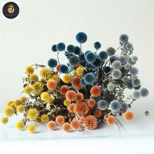M039 decoración rústica de boda <span class=keywords><strong>echinops</strong></span> secas naturales cardo globo conservado minimalista flor de cardo azul para ramos de jarrón - Product Image 1