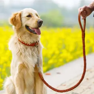 Corda di nylon intrecciata durevole guinzaglio per cani da compagnia manico morbido corda di nylon guinzaglio per cani da compagnia corda per animali domestici da addestramento alla trazione