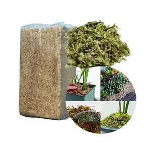 爬虫類基材植物使用卸売低価格長繊維圧縮乾燥レンガ100g 500g 1kgミズゴケ