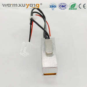 Elemento Calefactor PTC Termostático de 1000w para Automóviles, Tratamiento Térmico, Vaporizador de Hierbas Secas, Elemento Calefactor PTC - Product Image 5