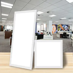 Commercial Lighting 600x600 300x600mm 2x2ft 60 X 60 595x595 Backlight Led Flat Panel Light 60 X 120 4x2