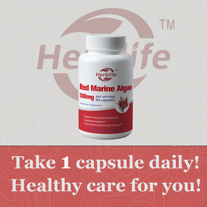 Cápsulas de algas marinas rojas de marca privada OEM ODM - Apoyo a la salud digestiva, antioxidante, apoyo a la salud general, vegano, sin OMG - Product Image 4