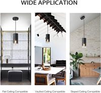 Luminaire suspendu à piles, luminaires de plafond noirs à piles avec ampoules rechargeables, 10 modes de couleur, télécommande à intensité variable