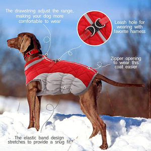 Vêtements d'hiver C076 pour chiens, résistants au vent et chauds, en coton rembourré, doublure polaire en polyester, rembourrage en duvet pour chats, protection pour Halloween - Product Image 6