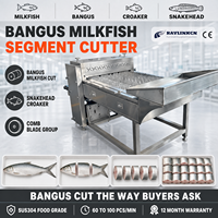 Exportation de Poisson Portionneuse de Poisson SUS304 60 Pièces par Minute Lame Circulaire pour Chanos Poisson-chat Tronçons