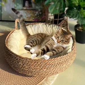 Nido di paglia naturale tessuto fatto a mano casa per animali domestici inverno caldo letto per gatti Scratching Board nido di cane con cuscino morbido - Product Image 2