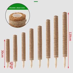 40cm tige <span class=keywords><strong>de</strong></span> mousse <span class=keywords><strong>de</strong></span> cocotier fibre <span class=keywords><strong>de</strong></span> <span class=keywords><strong>coco</strong></span> bâton <span class=keywords><strong>de</strong></span> canne <span class=keywords><strong>à</strong></span> grimper dos <span class=keywords><strong>de</strong></span> tortue soutien <span class=keywords><strong>de</strong></span> <span class=keywords><strong>la</strong></span> croissance des plantes pôle <span class=keywords><strong>de</strong></span> mousse bâton <span class=keywords><strong>de</strong></span> <span class=keywords><strong>coco</strong></span> - Product Image 1
