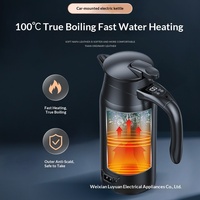 Bouilloire Électrique LY800 12V/24V Universelle avec Reconnaissance Automatique de Tension IA, 800ml, Ébullition Rapide de l'Eau et du Thé