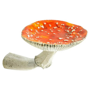 Kệ Treo Hình Nấm Amanita Nổi Kỳ Quái Bằng Gốm Sứ Trang Trí Tường Nghệ Thuật Gia Đình Ảo Tưởng Tùy Chỉnh - Product Image 2