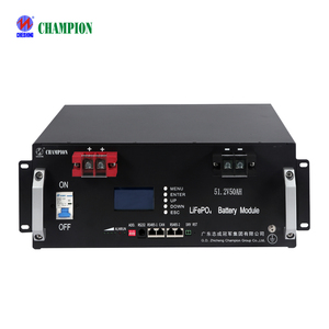 <span class=keywords><strong>แบ</strong></span><span class=keywords><strong>ต</strong></span>เตอรี่แชมเปียน<span class=keywords><strong>ต</strong></span>ิด2.56kwh 48V 51.2V 3U <span class=keywords><strong>แบ</strong></span><span class=keywords><strong>ต</strong></span>เตอรี่50 ah Lifepo4เก็บพลังงานจากแสงอาทิตย์แพ็คฟอสเฟต - Product Image 2