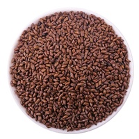 Prix de gros – Herbe chinoise de qualité, 100 % naturelle, Jue Ming Zi (Semen Cassia Occidentalis) séché, pour thé et tisane de Cassia