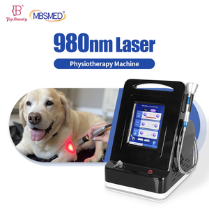 Machine laser professionnelle de classe 4 810nm 980nm 1064nm pour les soins de physiothérapie complète des animaux - Product Image 1