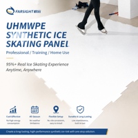 Panneaux de glace synthétique UHMWPE, patinoire artificielle pour le hockey sur glace, le curling, le broomball, l'entraînement et le patinage