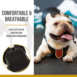 ISO9001 Zertifikat Fabrik <span class=keywords><strong>OEM</strong></span> Benutzer definiertes Logo Nylon Tactical Pet Pack <span class=keywords><strong>Harness</strong></span> Training Wandern Laufen <span class=keywords><strong>Dog</strong></span> Pack Rucksack - Product Image 2