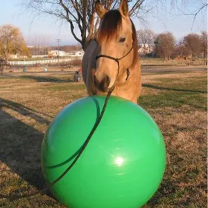 40-Zoll-Mega-Ball-Abdeckung für Pferde