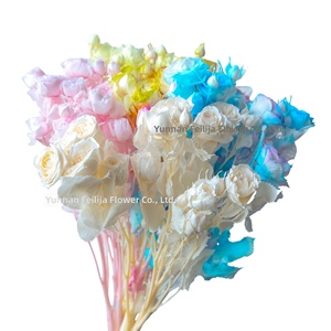 Roses Éternelles Multi-Têtes Haut de Gamme Prêtes à l'Emploi Matériaux DIY pour Artisanat Vente en Gros Bouquets de Roses Faits Main - Product Image 1