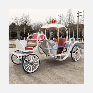 2026 Carrosse de mariage classique de luxe en acier, modèle citrouille, pour 4 à 8 personnes, blanc, pour transport spécial, à vendre - Product Image 1