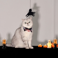 Offre Spéciale mode perle Halloween Style collier de chien de compagnie beau chien chat collier accessoires pour animaux de compagnie fournitures