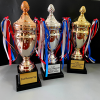 Médailles sportives en métal personnalisées en stock, trophées de football, de basketball, coupes de récompense, trophées de musculation polies