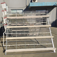 Cage à poulets en A à 3 niveaux entièrement automatique, équipement d'élevage avicole en plastique pour poules pondeuses, maisons pour oiseaux et poussins en promotion