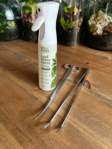 Kit di Manutenzione per Terrari Fai-da-Te, Set di Attrezzi in Acciaio Inox per Piante Succulente e Muschio, Strumenti per Giardinaggio Indoor - Product Image 5