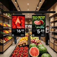 COMPAX Pantalla LCD ESL de Doble Pantalla de 10.1 Pulgadas, Pantalla a Todo Color de 300cd/ Alta Luminosidad, Etiqueta Digital para Tiendas Minoristas, Actualización de Información en Tiendas