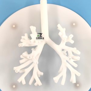 Modelo de bronquio rígido, modelo de entrenamiento médico, modelo de entrenamiento para broncoscopia - Product Image 4