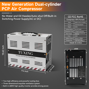 TUXING nouveau Style haute qualité 12V 4500psi 300bar 30mpa convertisseur intégré 220V arrêt automatique natation respiration PCP compresseur d'air - Product Image 3