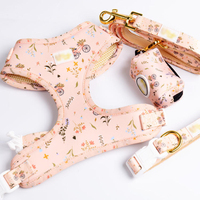 Accessoires personnalisés pour animaux de compagnie Gilet réglable de luxe personnalisé pour chien Ensemble de collier à sublimation pour animal de compagnie Harnais en laisse pour chien