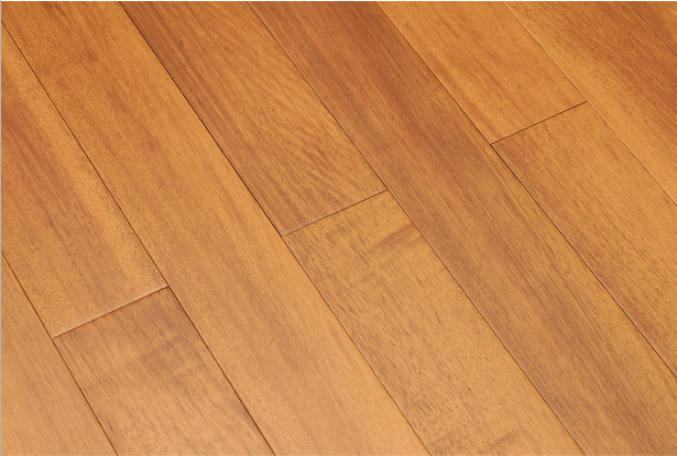 สีเกรปฟรุตตะวันออก