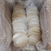 Coquillages de Capiz Naturels Bruts en Gros, Coquillages de Capiz Blancs pour Cartes d'Invitation de Mariage DIY