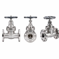Vanne à opercule manuelle à bride métallique J41W-40P CF8 PN40 LUOKEFM pour eau douce à usage industriel avec garantie d'un an