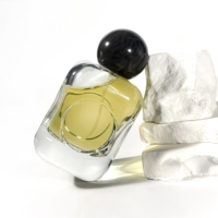 Bouteilles de parfum vides à bord d'arc carré clair 100ml bouteilles de parfum en verre bouteilles d'huile de parfum transparentes emballage d'épices