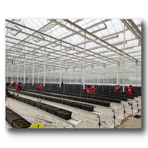 Systèmes <span class=keywords><strong>de</strong></span> culture <span class=keywords><strong>de</strong></span> fraise/laitue/fleur/herbe dans l'agriculture <span class=keywords><strong>de</strong></span> ferme hydroponique <span class=keywords><strong>de</strong></span> serre - Product Image 6