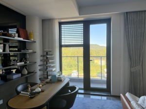 Portes battantes d'entrée en verre en alliage d'aluminium robustes et personnalisées pour villa - Product Image 4