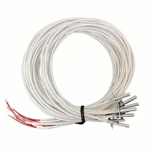 Pt100 Platina Weerstand Rtd 3850K Met 3 Cores Leads Wire Pt100 Temperatuur Sensor