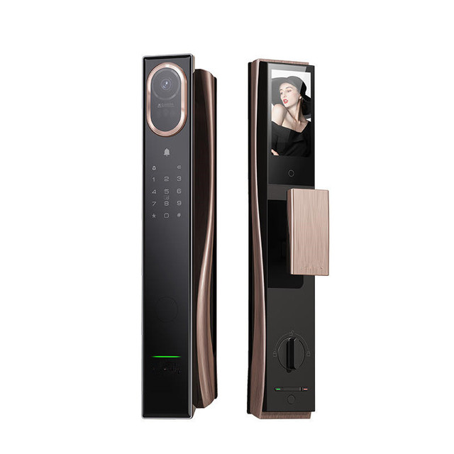Fingerprint Face Id Outdoor Video Surveillance Tenon Locks Tuya Waterproof Smart Aluminium Door Lock Cloud for Steel/Glass