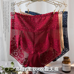 Braguitas <span class=keywords><strong>de</strong></span> Encaje Floral Bordado <span class=keywords><strong>de</strong></span> Talle Alto para <span class=keywords><strong>Mujer</strong></span>, Talla Grande - Product Image 5